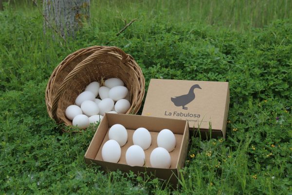 Cesta llena de huevos de oca junto a una caja con 6 huevos de oca